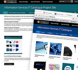 The IT Services Catalogue project and alpha demo websites